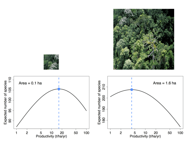 neutral richness-productivity