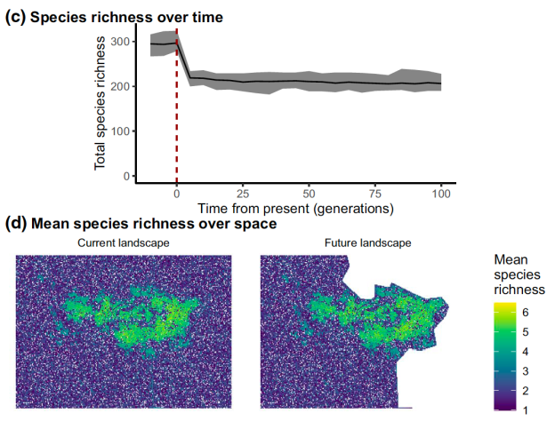 Screen Shot 2020-08-17 at 4.58.44 pm